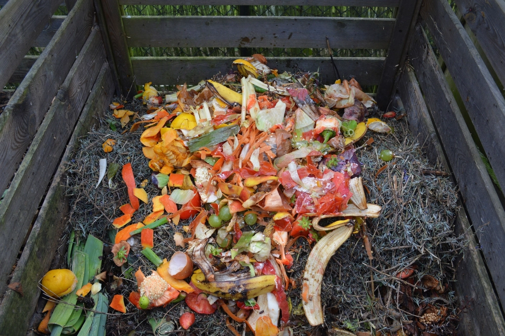 Free food waste composting image